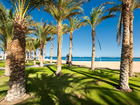 Frühbucher vs. Last Minute - wie sichert man sich die besten Urlaubsdeals