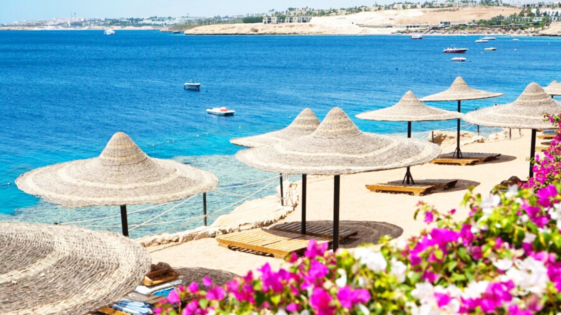 Sommer am Roten Meer