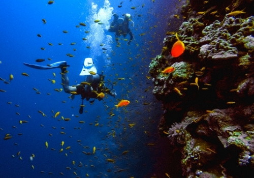 Taucherlebnis Rotes Meer im Ägypten Urlaub erleben