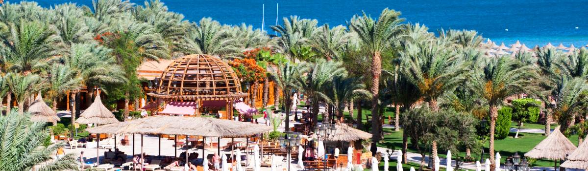 So wählen Sie die richtige Baderegion für den Ägypten-Urlaub am Roten Meer