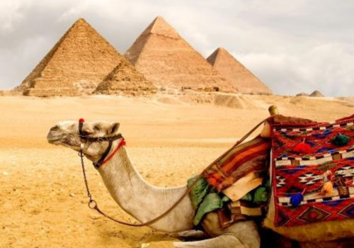 Kamelreiten ist eine tolle Aktivität im Herbsturlaub am Meer in Ägypten