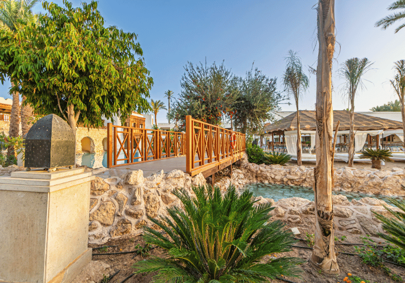 Das Ghazala Gardens bietet eine traumhafte Hotelanlage mit Palmen und Pool