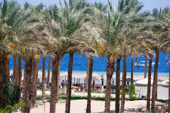 Preiswertes 4-Sterne All-Inclusive Hotel in der Makadi Bay