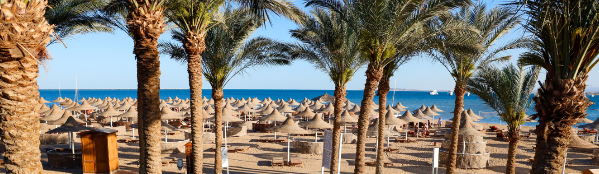 Genieße Sandstrand, Sonne und Palmen in deinem ersten Hurghada Urlaub usst