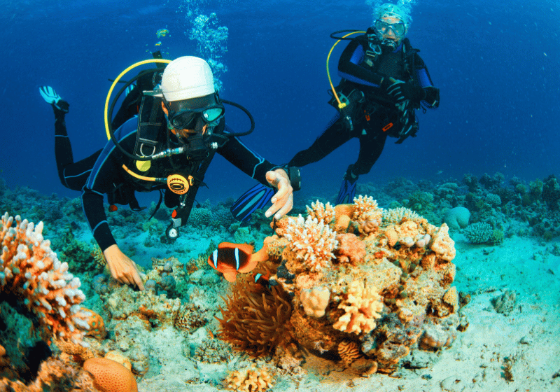 Die Unterwasserwelt des Roten Meeres macht Sharm El Sheikh zu einem beliebten Urlaubsort zum Tauchen und Schnorcheln