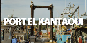 Entdecke die Hafenstadt Port El Kantaoui